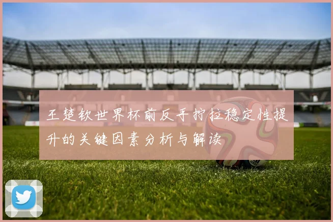 王楚钦世界杯前反手拧拉稳定性提升的关键因素分析与解读